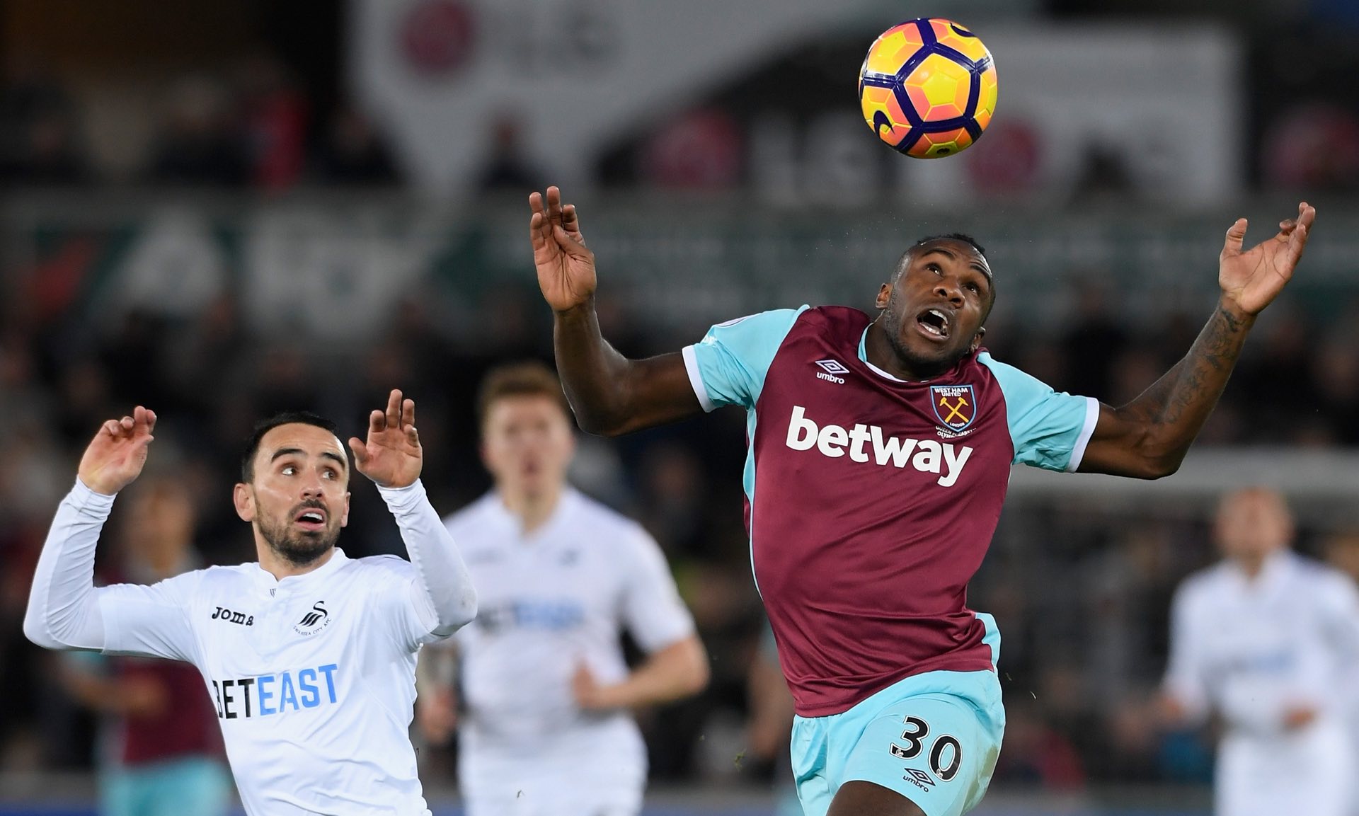 显示了他们 显示了他们